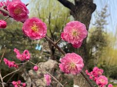 -趵突泉景区
