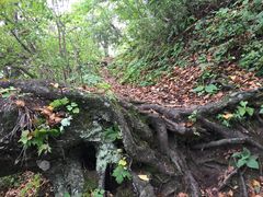 -秦岭风景区