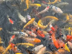 -南戴河国际娱乐中心