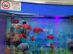 -雅悦齿科(顾村公园店)