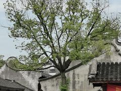-乌镇东栅景区