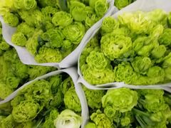 -三圣花乡旅游区