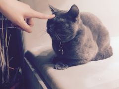 -小时光咖啡馆(开森度假森林店)