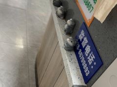 -半岛宠物医院24小时(白果林店)