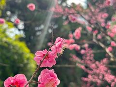-阿哈湖国家湿地公园