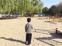 -大兴滨河森林公园