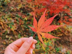 -崂山九水游览区