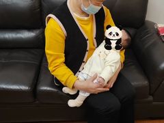 -田螺阿姨自营月嫂·育儿嫂(高新店)