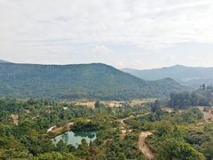 -大姆山草场