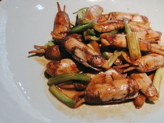 -宋小谨(惠安禹洲店)