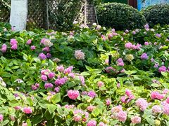 -常州古运河南大街文化旅游区-人民公园