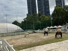 -名驭国际马术学院