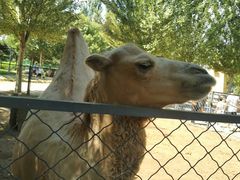 -长白岛森林公园