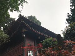 -峨眉山报国寺