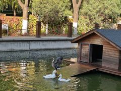 -中央戏剧学院(昌平校区)