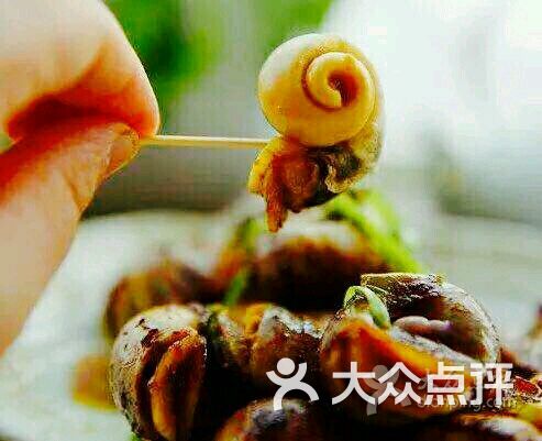 口水螺--菜图片-昆明美食-大众点评网