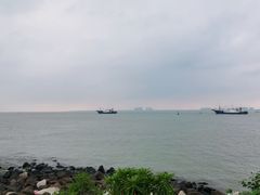 -东郊椰林