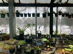 -国家植物园南园