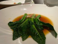 广东菜心-觀芷隐轩