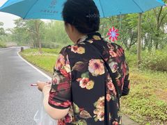 -同里国家湿地公园