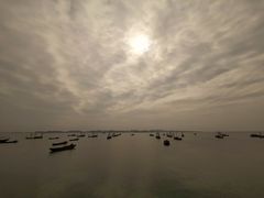-鄱阳湖国家湿地公园