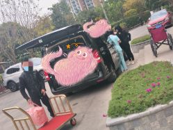 -阁涞玛尊月月子会所(温江店)