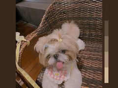 -君悦酒店·La Terrazza意合園·意式风味