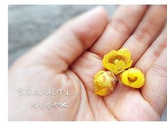 -秀丽东方