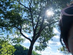 -艾溪湖湿地公园