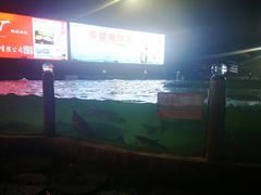 -天怡·鱼工厂(梅溪湖店)