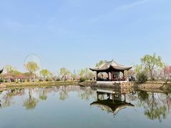 -无锡蠡湖国家湿地公园-蠡园