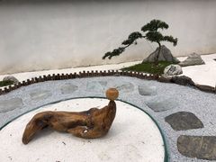 -东平国家森林公园