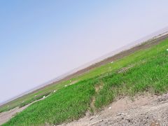 景点-南汇嘴观海公园