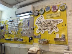 -平行世界·猫咖(首经贸店)