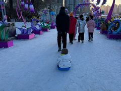-沈阳奥体冰雪嘉年华