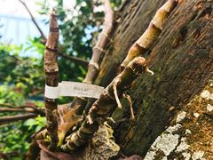 -邹记·美食(斗门店)