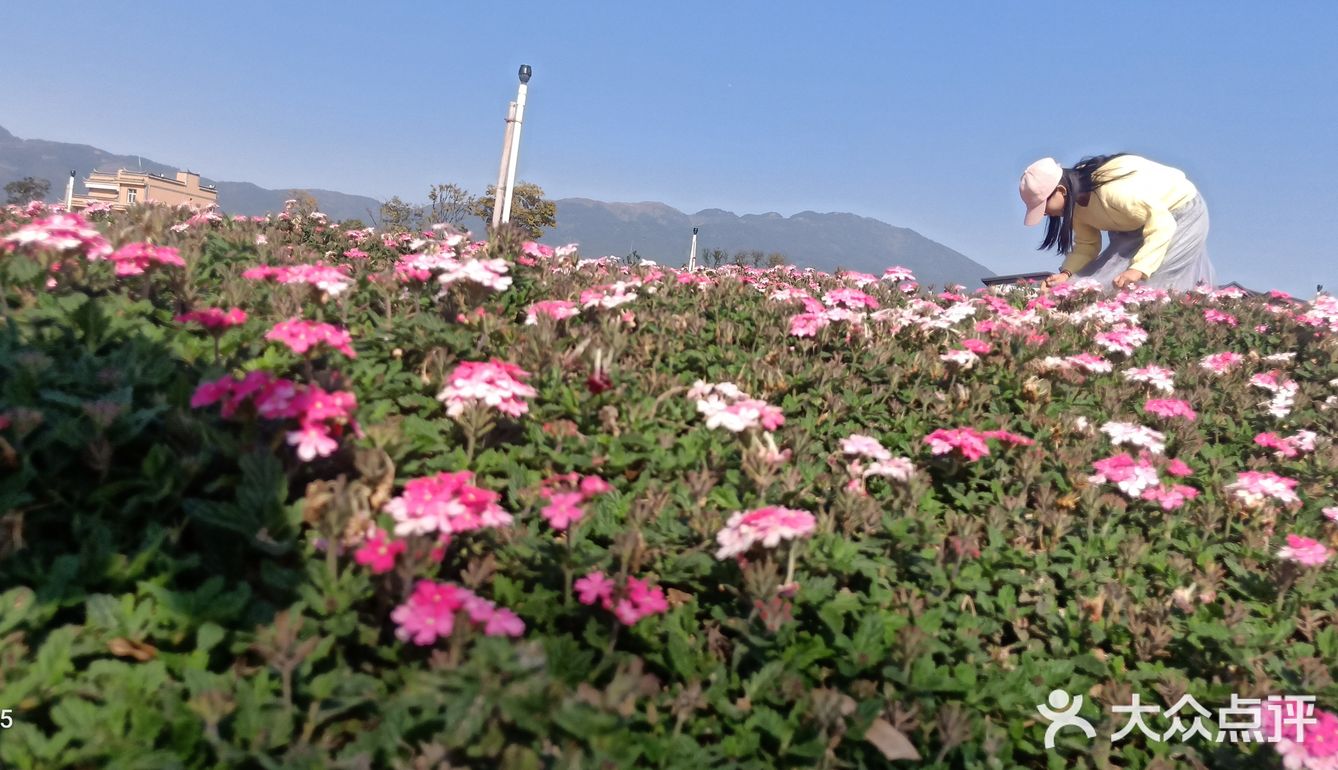 少了些商业化运作，还是很多人喜欢来这里的