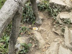 -梧桐山风景名胜区