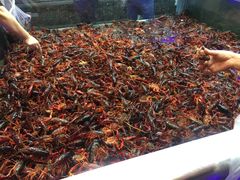 -盒马鲜生(宝地店)