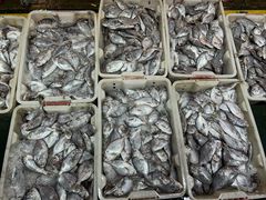 -海峡水产品交易中心(海鲜交易区)