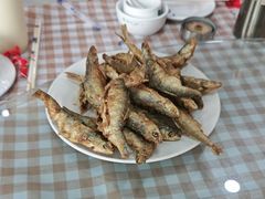 -微山岛春天里酒家