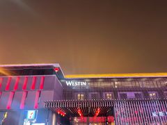 -大雁塔北广场音乐喷泉