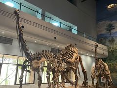 -自贡恐龙博物馆