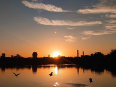 -济南大明湖景区