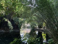 -棠湖公园
