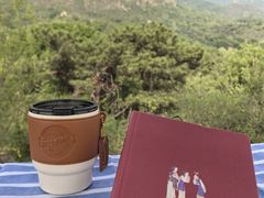 -北京鹫峰国家森林公园