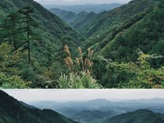 -东天目山风景区