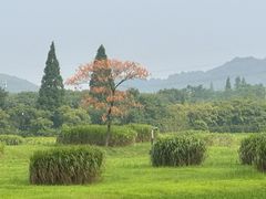 -良渚古城遗址公园