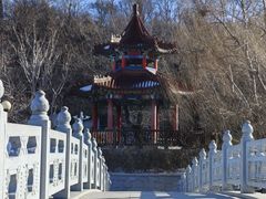 -大连植物园