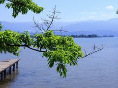 -西昌邛海湿地
